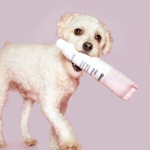Glossier x Bark Balm Dogcom Dotcom dog toy NWT